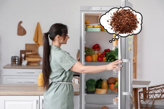 Bã cà phê là nguyên liệu giúp khử mùi tủ lạnh cực kỳ tiết kiệm và hiệu quả