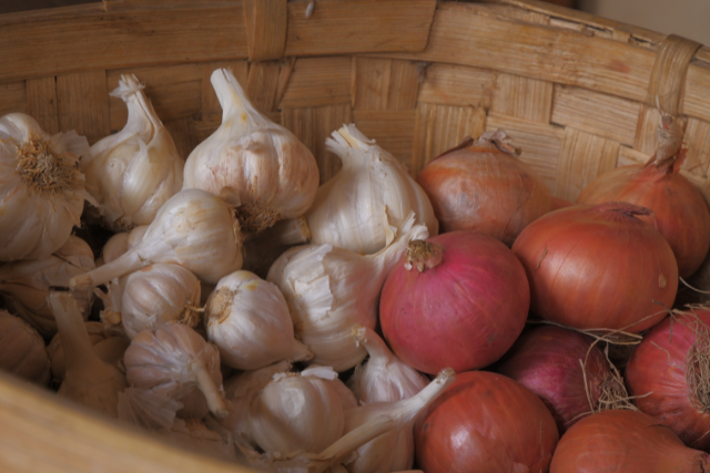 Các loại gia vị tươi như hành, tỏi, gừng và sả cần sự thông thoáng để tránh bí hơi